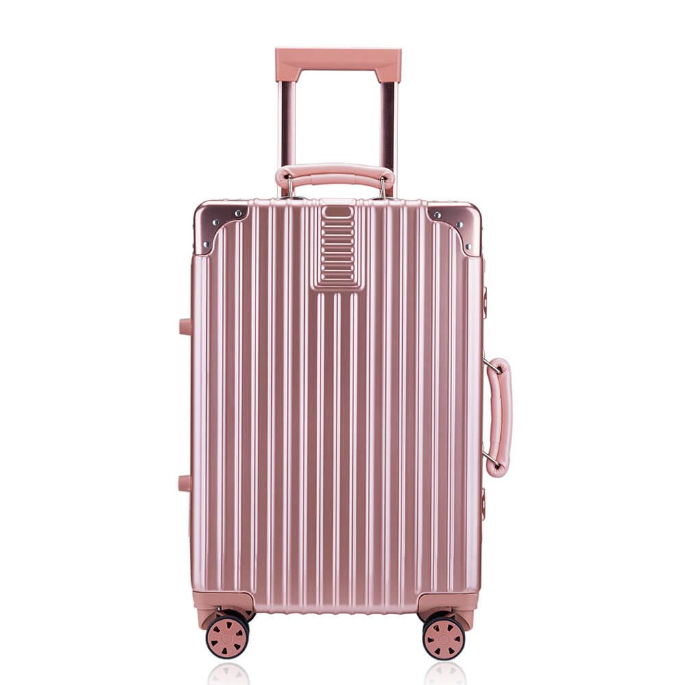 abs pc suitcase (2)